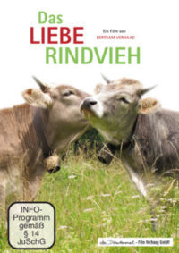 Das LIEBE RINDVIEH